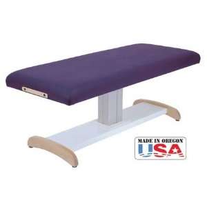   Custom Craftworks   Imperial Electric Massage Table
