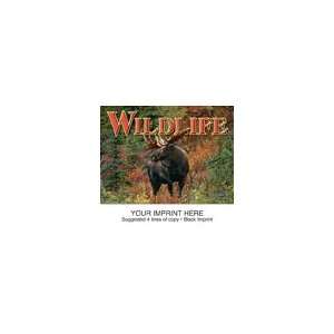    Min Qty 150 Animal Calendars, Wildlife, 13 Month: Everything Else