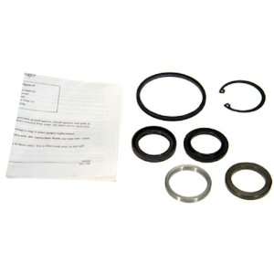   8769 Power Steering Gear Box Pitman Shaft Seal Kit Automotive