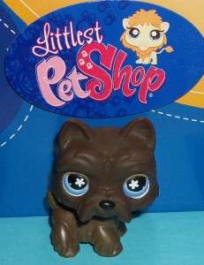 Littlest Pet Shop~#789 CHOCOLATE SCOTTIE DOG~Rare J101  