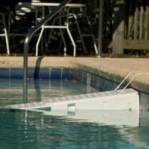  Skamper Ramp Pet Safety Pool Exit   for Animals up to 100 