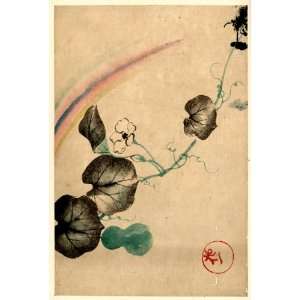 18   Japanese Print . Squash vine with blossom, squash 