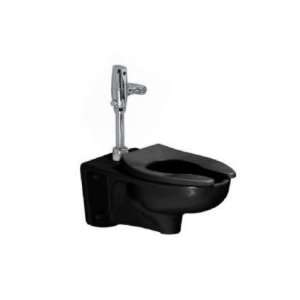   Wall Mounted Retrofit Flush Valve Toilet with Top Spud 3355.160.178
